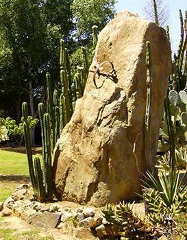 Vineyard Hacienda Affittacamere 3*