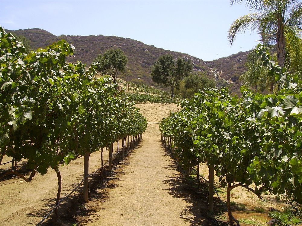 Vineyard Hacienda Affittacamere Spring Valley (San Diego)